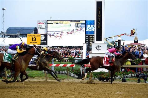 preakness day picks.